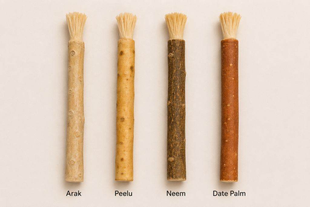 Four miswak sticks side by side (Arak, Peelu, Neem, Date Palm