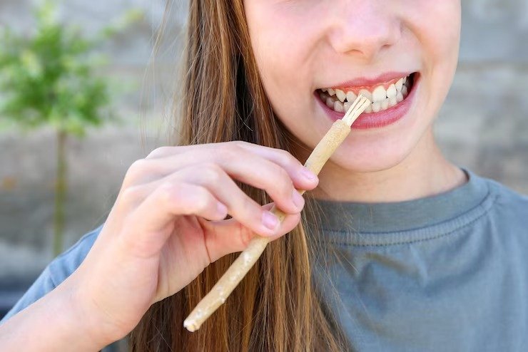 Miswak Sticks for teeth