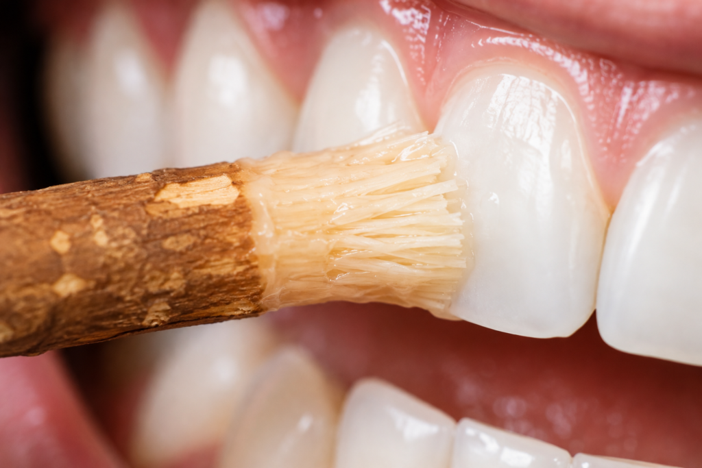 close up of miswak fibres cleaning and polishing tooth surface