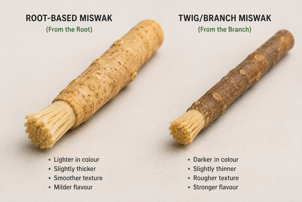 root miswak stick compared with twig branch miswak stick