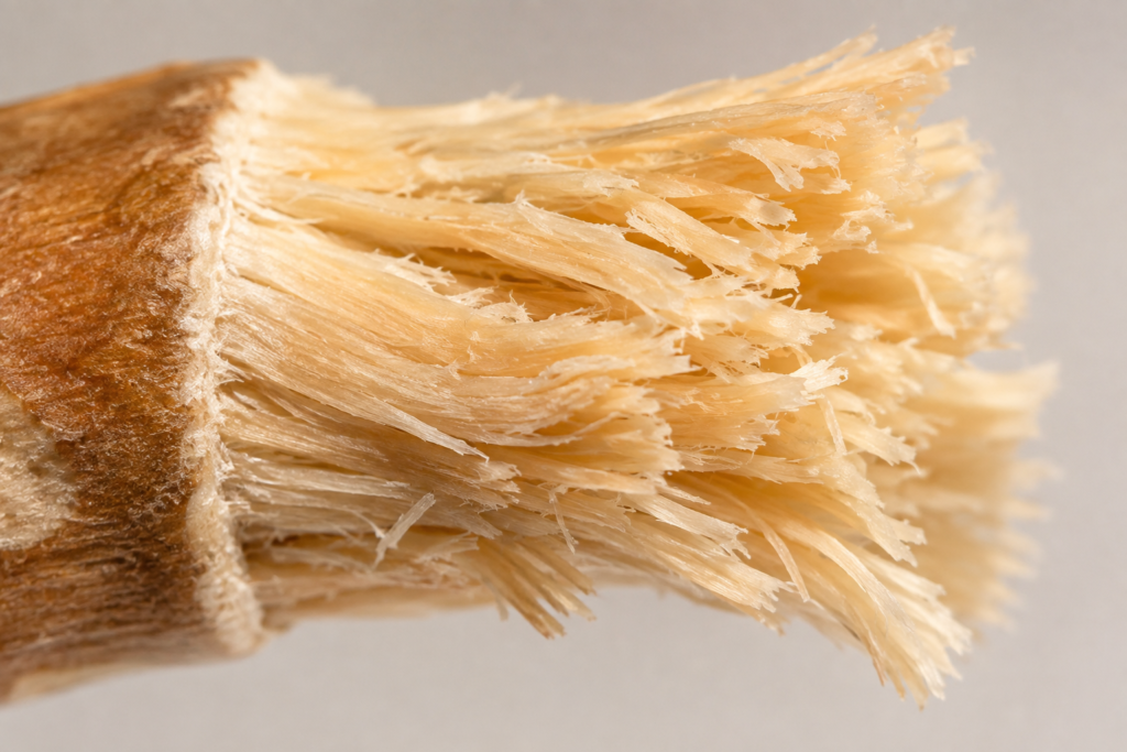 macro close-up of miswak stick 